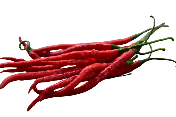 Cabe Keriting Merah