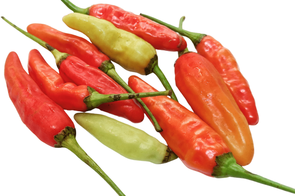 Cabe Rawit Merah