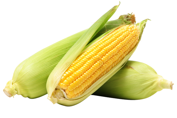 Jagung