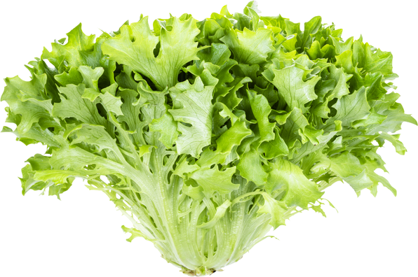 Selada