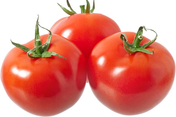 Tomat Servo Merah