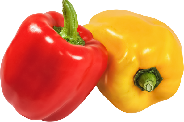 Paprika
